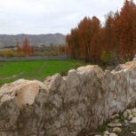 30000هزار متر باغ در کازرون روستای فتح آباد