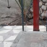 فروش باسگول