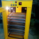 خشک کن انگور کشمش لیمو عمانی دستگاه خشک کن سیب سبزی مرکبات