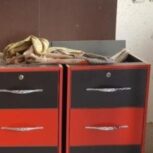 دکور آرایشگاه