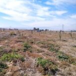 باغ شهری قطب آباد