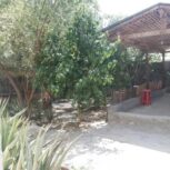 فروش خونه باغ قدیمی مرکز شهر لامرد