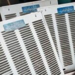 کولرابی پنج هزار سالم