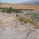 زمین کشاورزی 160000 متر