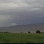 1هکتارنیم زمین صدمتر بعدازخوابگاه دانشگاه ازاد فروش فوری