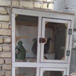 فروش یک قفس سالم مخصوص کبوتر جفتی