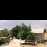 باغچه درجاده سپیدان روستای ابگرم بروی اسفالت سر دونبش دو درب