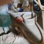 پوسه کولر ابی فن دار