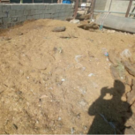 کود حیوانی دوتا نیسان آماده بار زدن