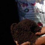 کود عالی ورمی کمپوست