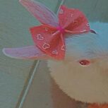 خرگوش لوپ مینیاتوری سفید