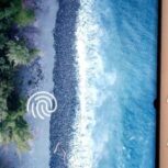 سامسونگ Galaxy Note 10 plus