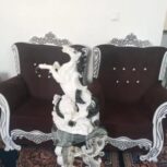 مبل هفت نفره نو