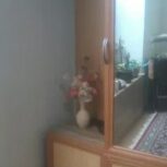 جاکفشی درحدنو