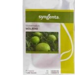 خرید بهترین بذر هندوانه با ضمانت اصالت