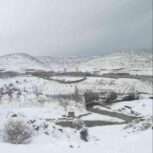 باغچه 20کیلومتری شیراز