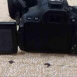 دوربین Canon 700D