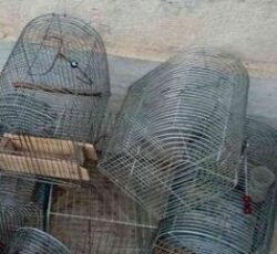 (قفس سهره)