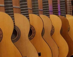 انواع گیتار های هنرجویی و آموزشی