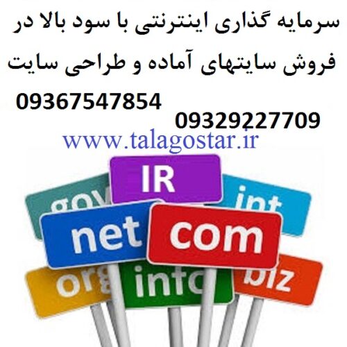 سرمایه گذاری با سود بالا و شراکت در تجارت سایت